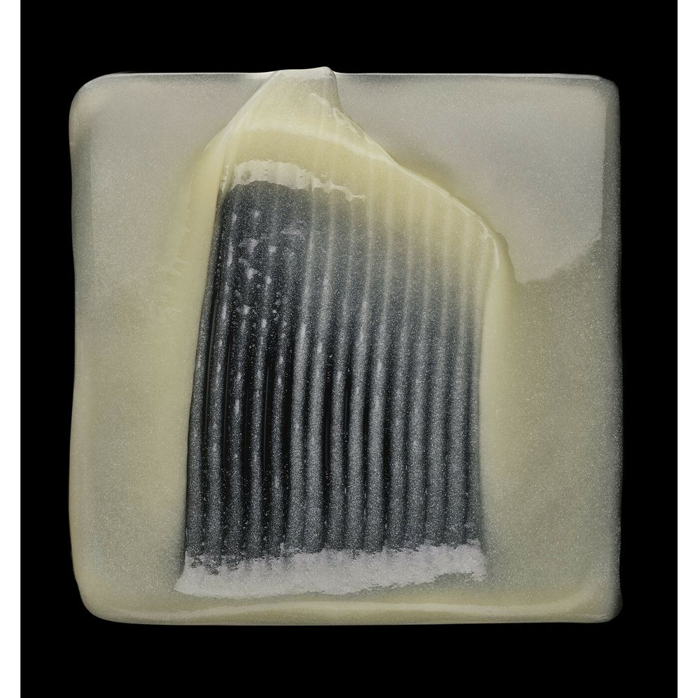 L'Oréal Professionnel Serie Expert Absolut Repair Shampoo 300 ml