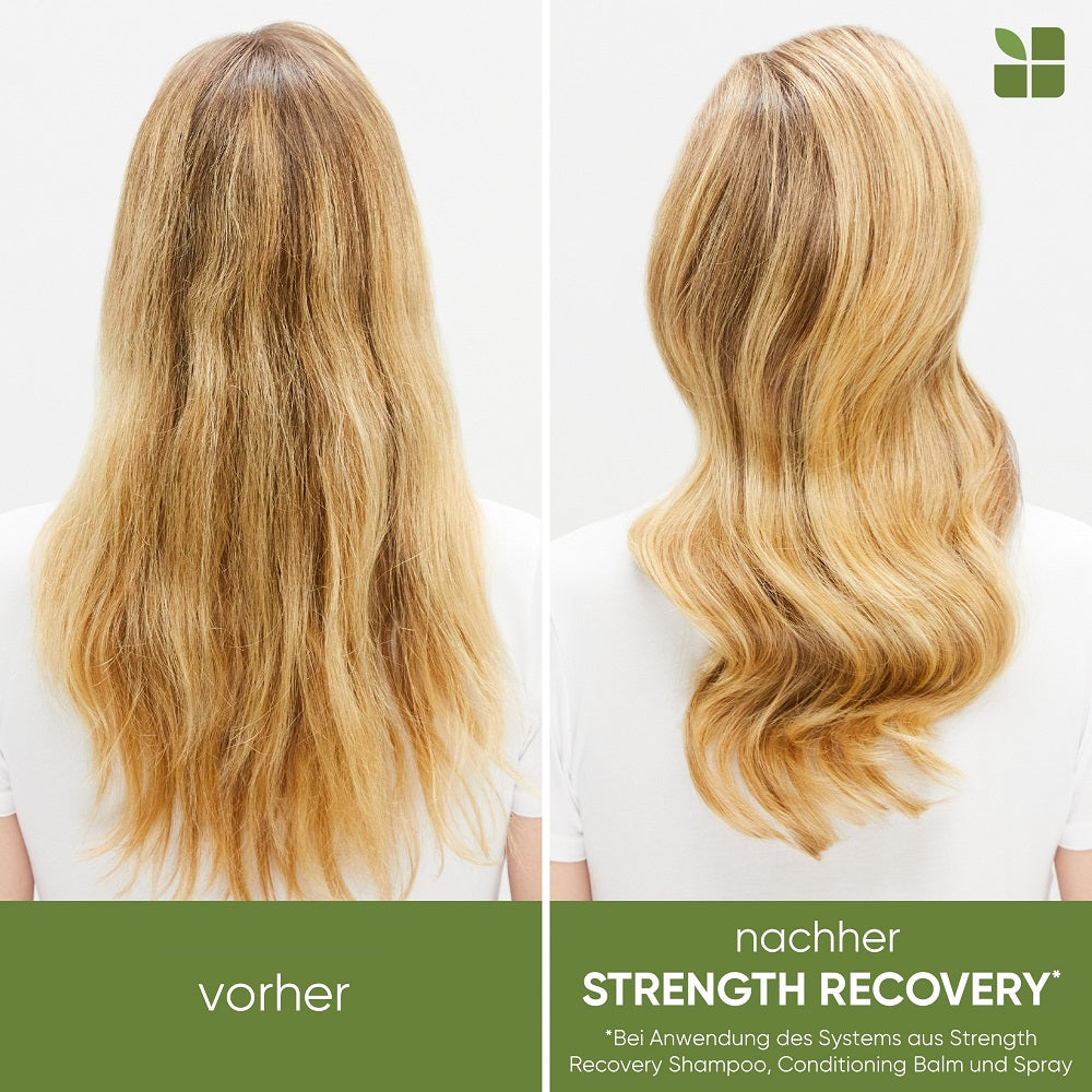 Matrix Biolage Strength Recovery Spring Coffret - Shampoo 250 ml + Conditioner 200 ml + Leave-In Spray 232 ml
