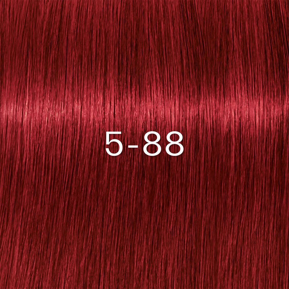 Schwarzkopf Igora Zero Amm Colors 60ml