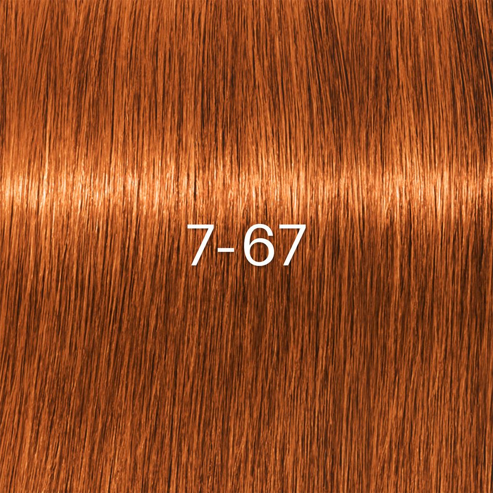 Schwarzkopf Igora Zero Amm Colors 60ml