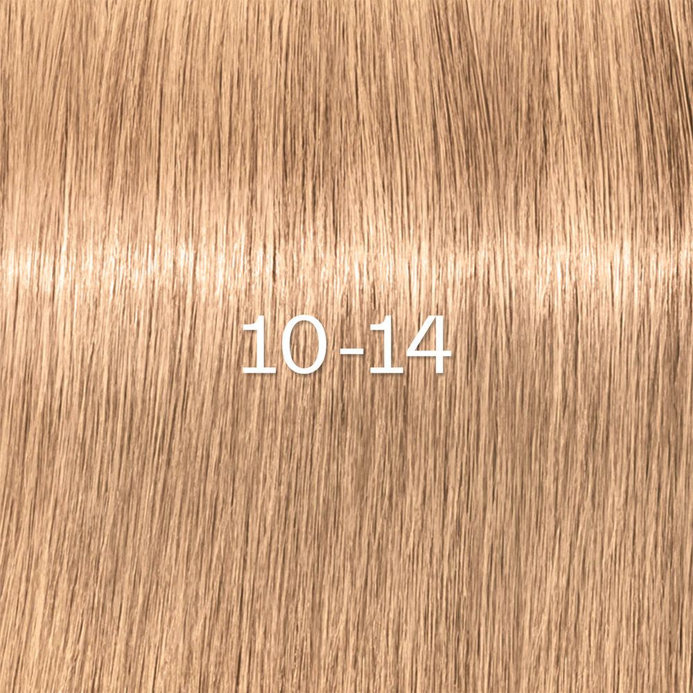 Schwarzkopf Igora Zero Amm Colors 60ml