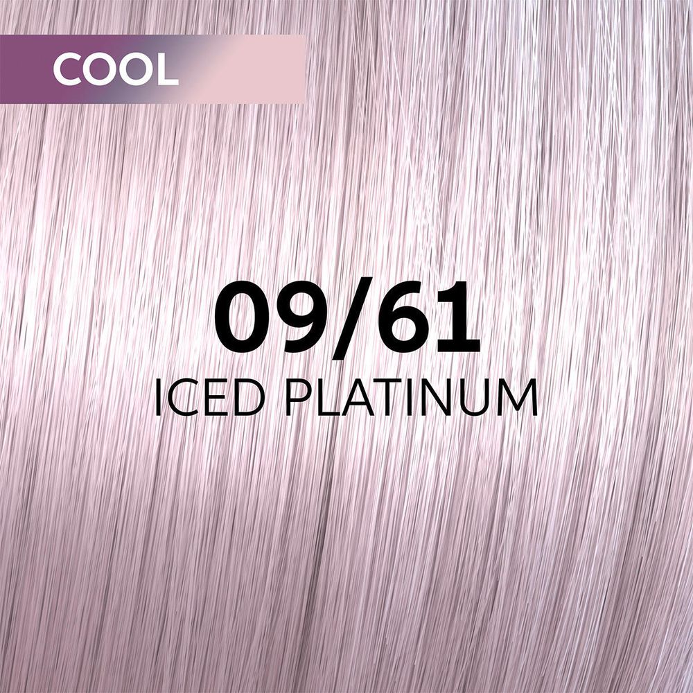 09/61 lichtblond violett-asch